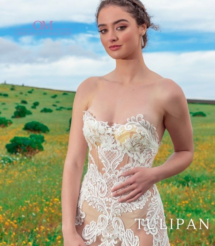 Tulipan