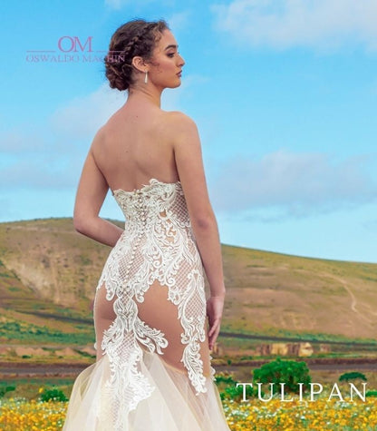 Tulipan