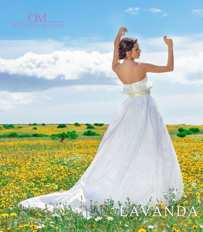 Lavanda