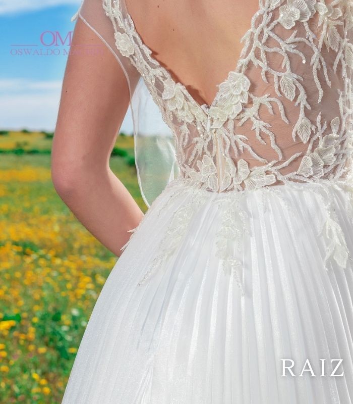 Raiz